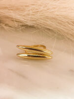 Anillo Triana