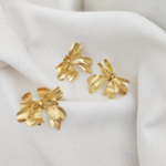 Aretes Lasso