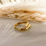 Anillo doble brillo