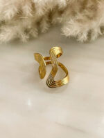 Anillo Senda - Imagen 2